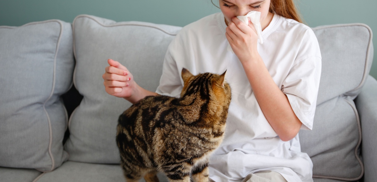 allergia gatto