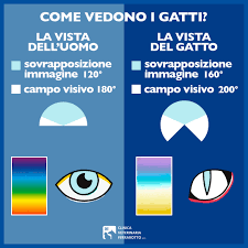 images 1