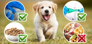 images 14
