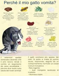 images 18 1