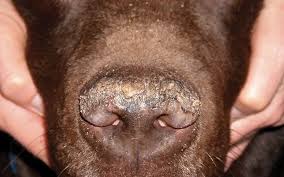 images 34