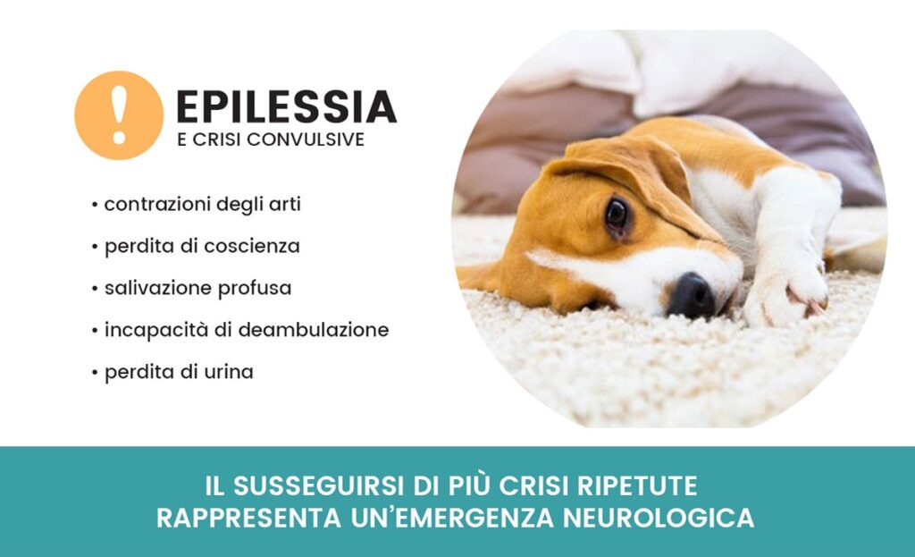 info epilessia