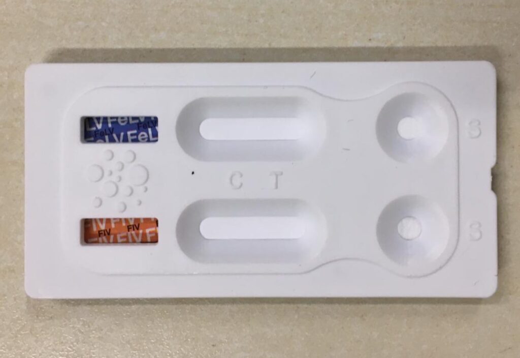 I test di laboratorio più utilizzati sono la PCR ed ELISA, e servono per diagnosticare particolari patologie sia nel cane che nel gatto.