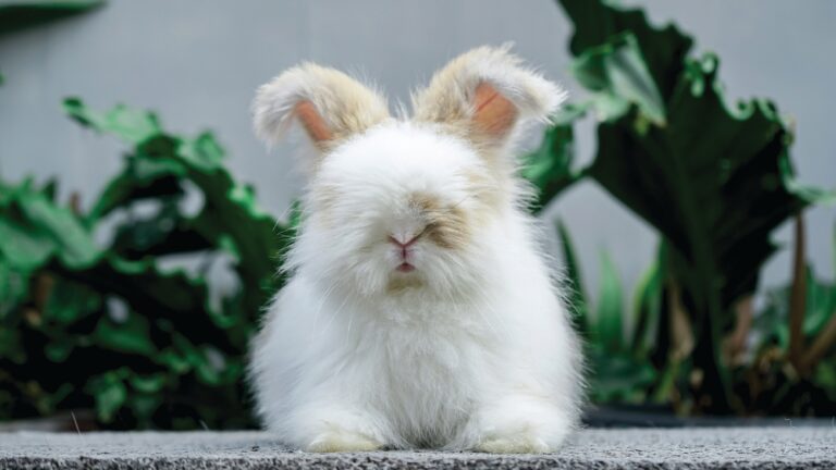 shutterstock 2586854251 1