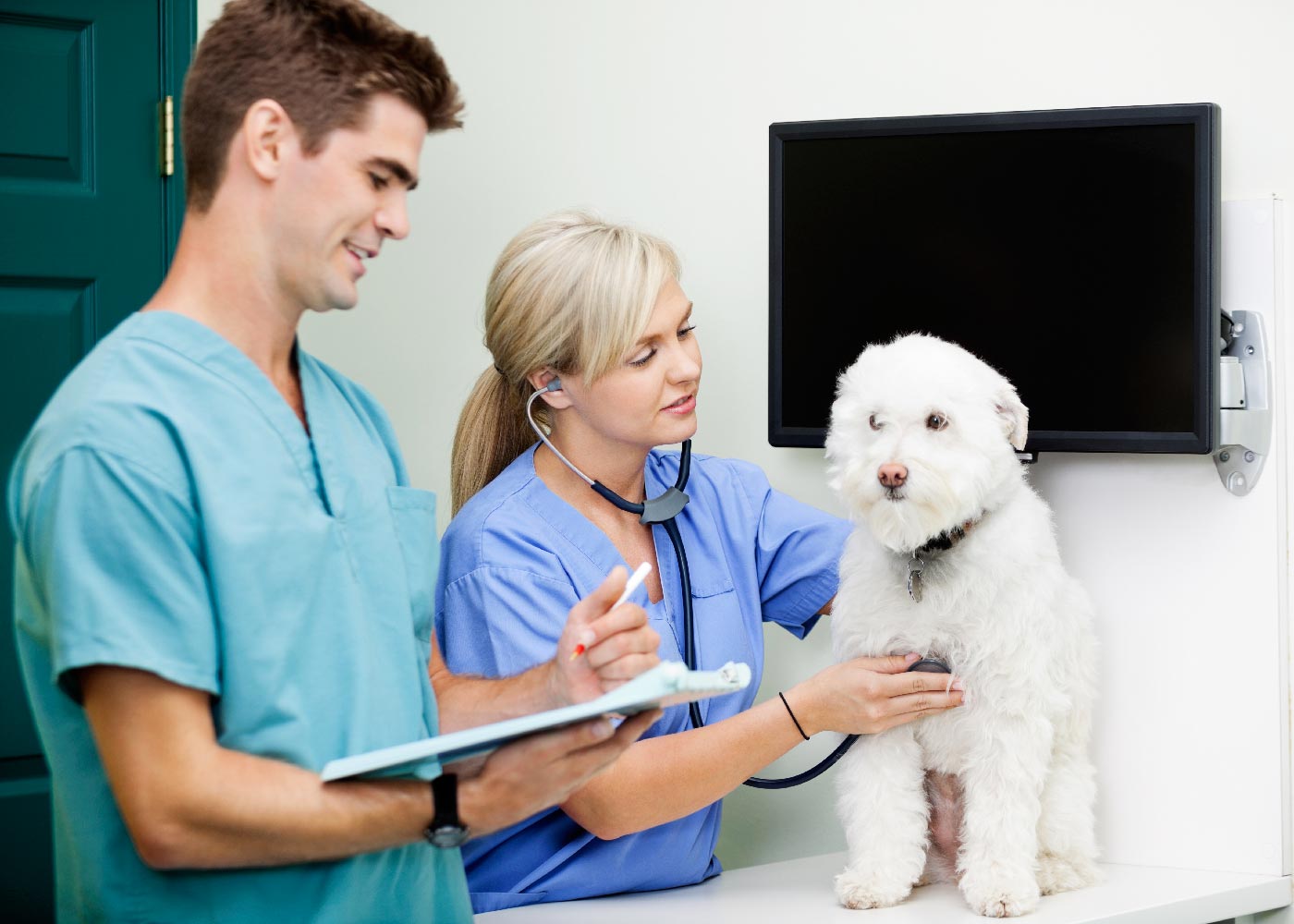 tecnico veterinario 3