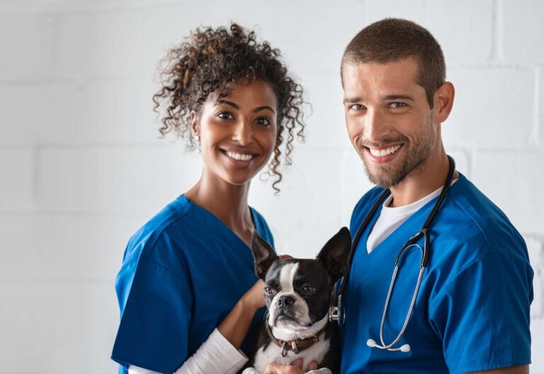 La figura del tecnico veterinario fa grandi passi avanti. Il riconoscimento è ormai ufficiale e la formazione è fondamentale per ottenere una qualità alta.